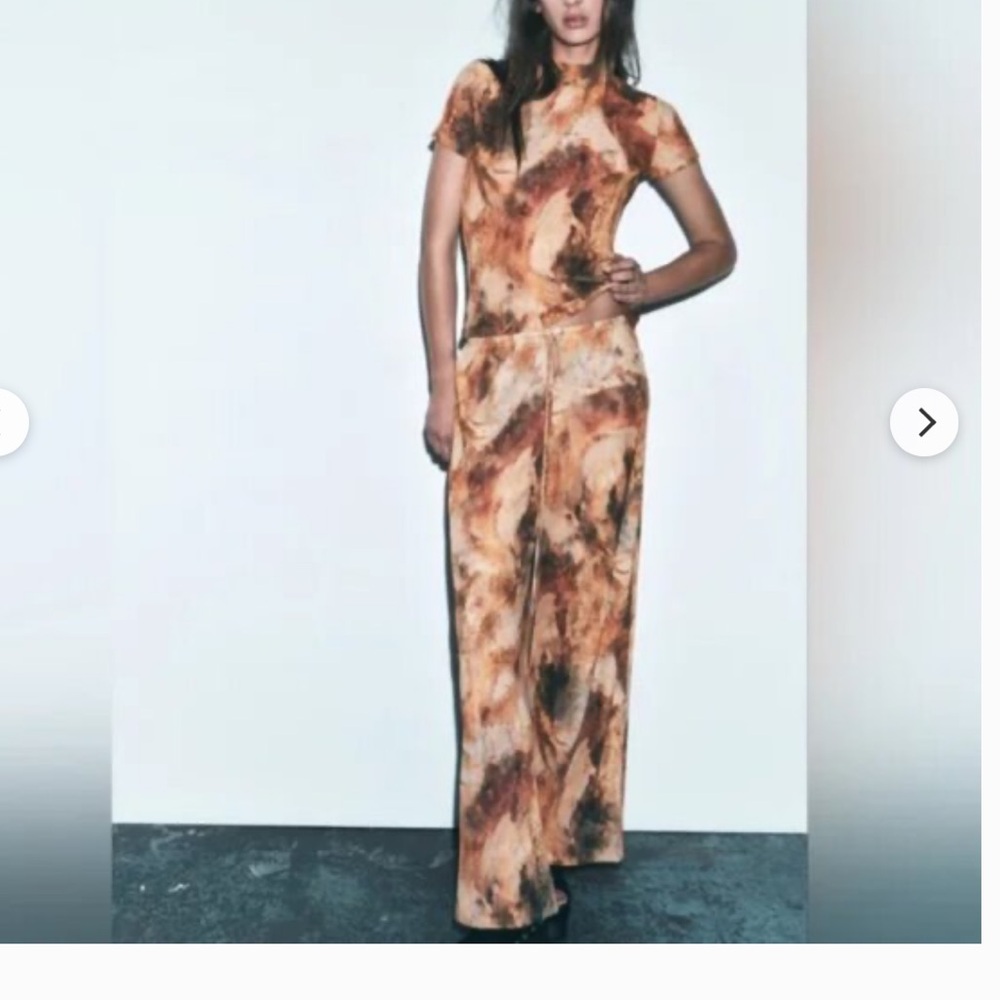 NWOT Zara, Pleated, Print, Palazzo, Wide Leg, Elastic waist, Pants size S